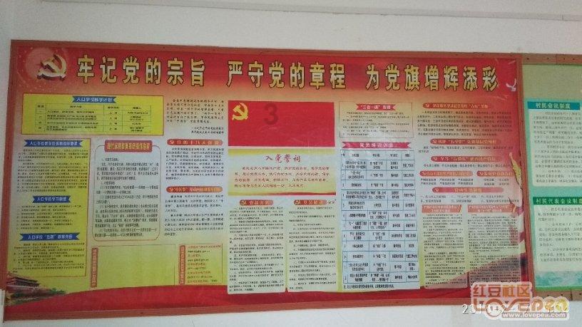 救援呆萌的猫